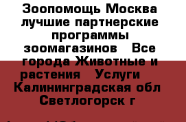 Зоопомощь.Москва лучшие партнерские программы зоомагазинов - Все города Животные и растения » Услуги   . Калининградская обл.,Светлогорск г.